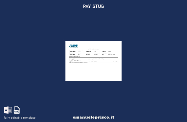 modello di riepilogo dei guadagni AMOS International in stile verificato